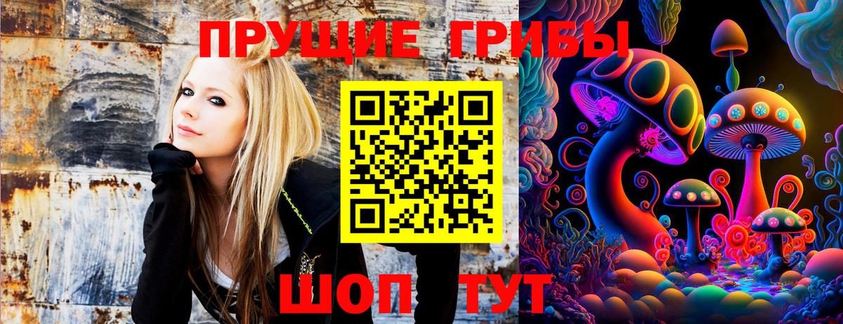 Псилоцибиновые грибы Psilocybe  Вход с VPN  Звенигород 