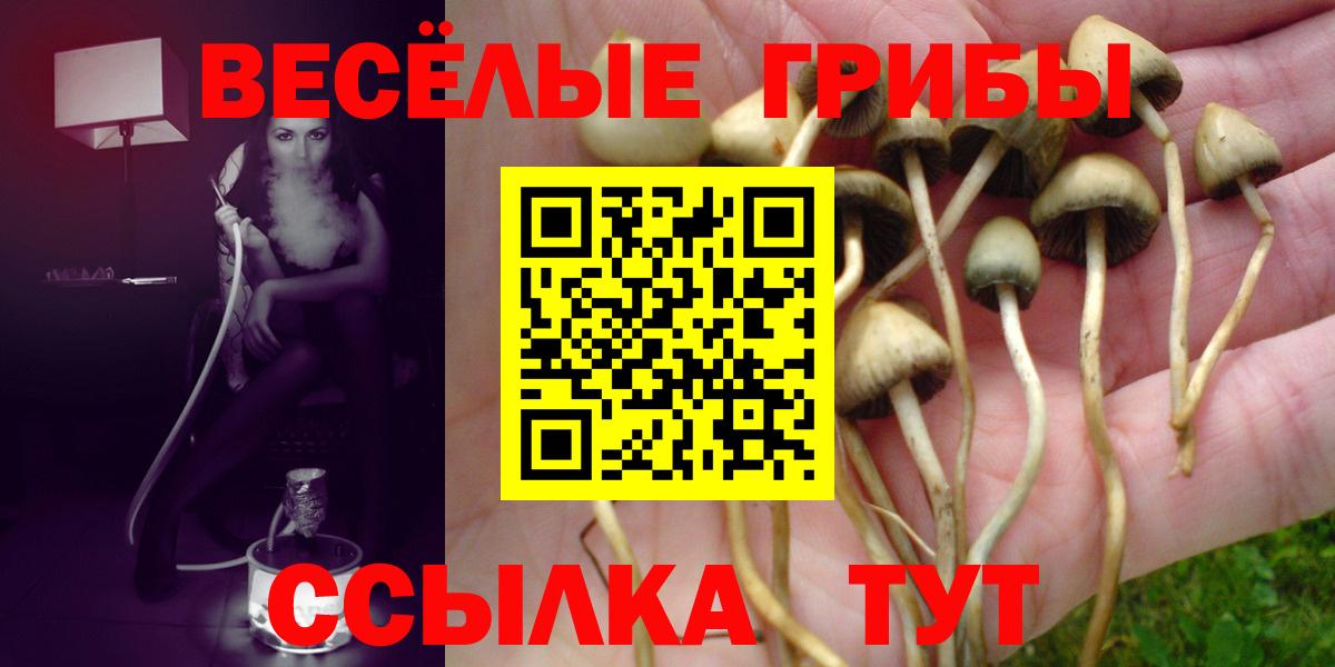 Галлюциногенные грибы Magic Shrooms Звенигород